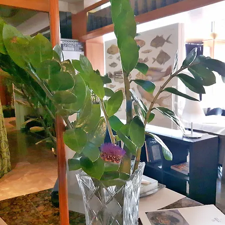 Ristorante Alcide Поджибонси